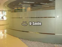 Утолщенный материал, самоклеящаяся матовая оконная пленка, декоративный виниловый оттенок для ванной комнаты, офиса, дома, Размер: 1,2 м * 50 м - изображение