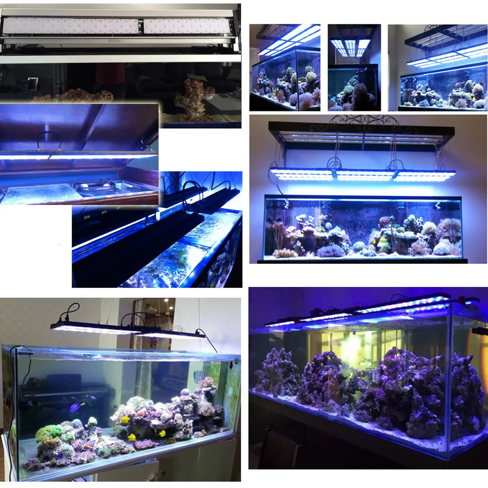 lamp led aquarium timer