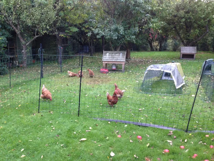 new-solar-electric-fence-for-garden-3
