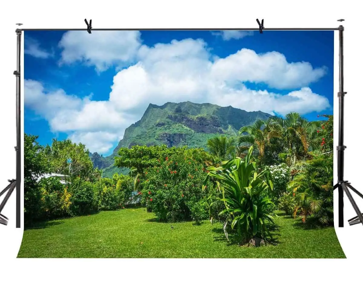 

7x5ft Natural Wonder Backdrop Green Tree Green Hill Nature Beauty Photography Background and Studio Photography Backdrop Props