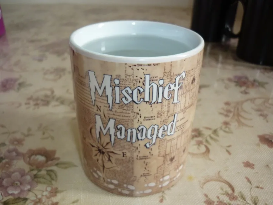 new Harry Potter mug09