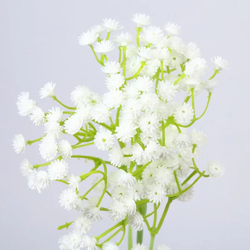 QQ20190427124548