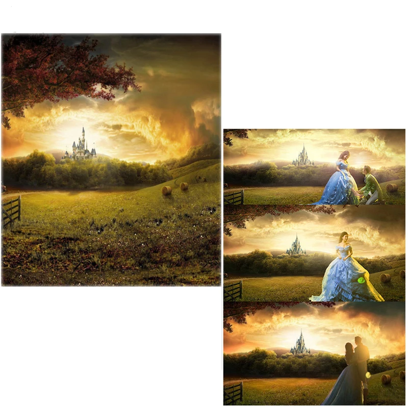 Vinyl Backdrops For Photography Cinderella Castle Scenic Forest Oxford Photo Background For studio Wedding Lover