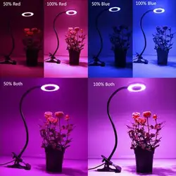 10 Вт растет свет с зажимом Гибкая комнатных растений для выращивания цветов, овощей растущий затемнения лампы для офиса дома парниковых
