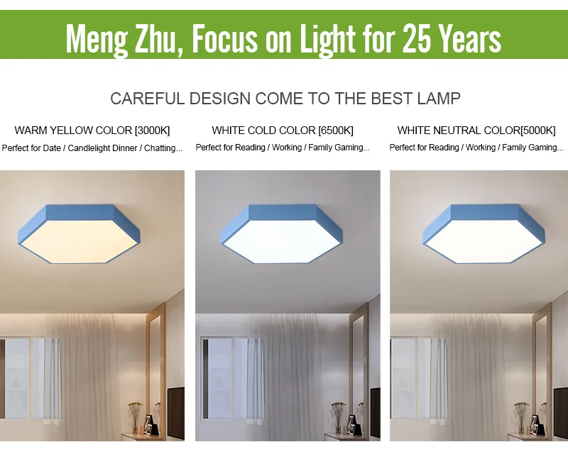 led ceiling light (3)