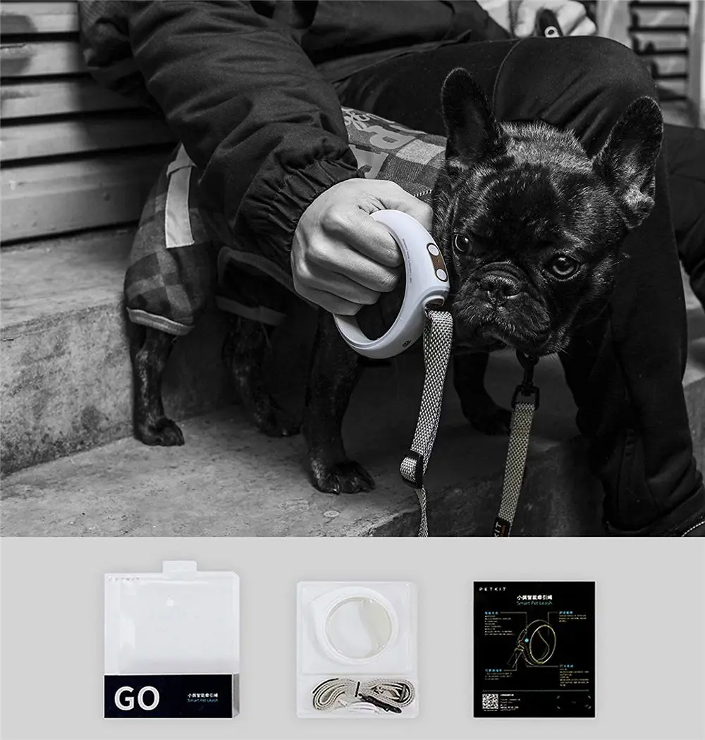 81zoKLenaaL._SL1500_