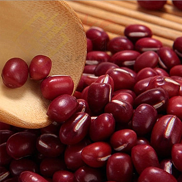 500g ecology and organic fresh soybeans china jumby bean soya beans