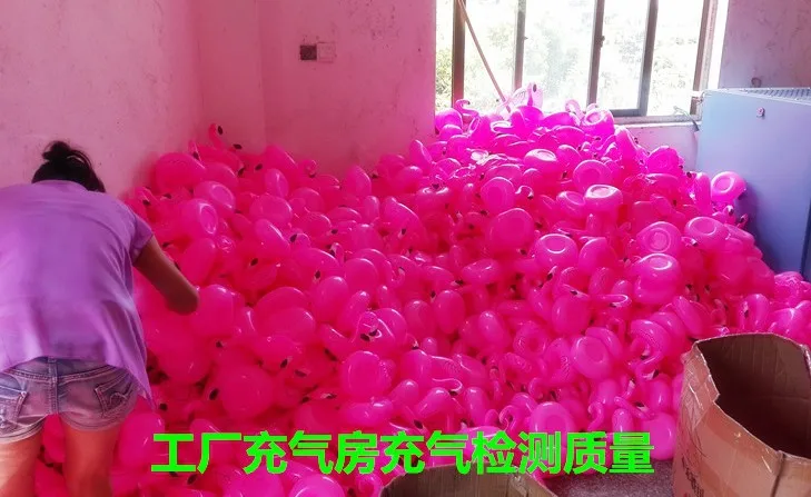 3284417353_1157004663