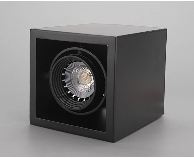 Luzes de Teto Conduziu a Luz de Teto Decorações do Corpo Iluminação para Casa Único Ponto Lâmpadas Iluminação 10 w Quadrado Lâmpada Led 9 High Quality Luzes e Iluminação