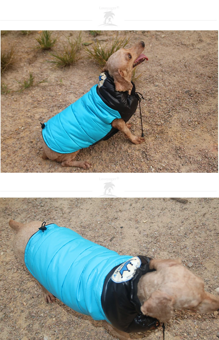 Рождественский подарок Русский стиль жилет для питомца мягкая теплая куртка для щенка Синяя Собака зимнее пальто для маленьких собак одежда XS/S/M/ML/XL Топ