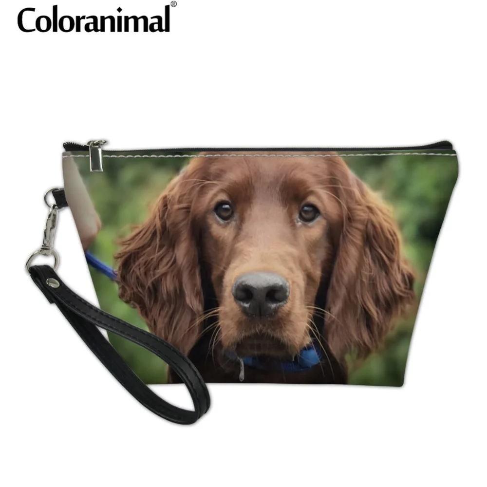 Coloranimal ирландское сеттер Для женщин косметический чехол необходимости наборы для умывания Макияж сумка 3D с животным принтом «Собака» роскошный кожаный организовать для туалетных принадлежностей