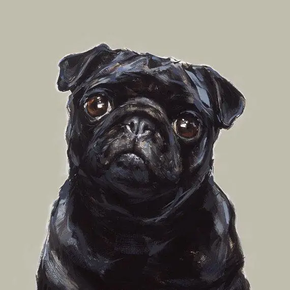 

5D DIY Diamond Painting Pug Dog Looking Animals Embroidery Square Diamond Painting Cross Stitch Rhinestone Mosaic Painting