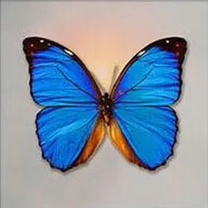 01 (3)