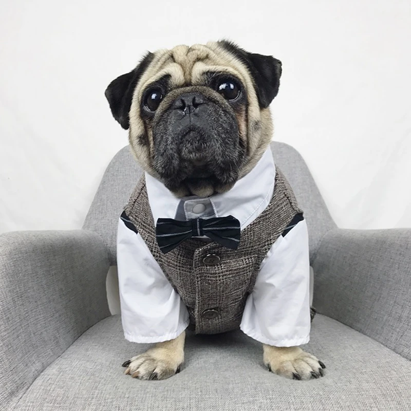 Одежда для собак, жилет для свадебной вечеринки, костюмы для маленьких и средних собак, куртка с Мопсом для французского бульдога, йоркширская толстовка с капюшоном, костюм BNC01