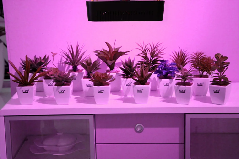 E27 PAR21W 36W 54W 300W led grow light Epistar Garden plant Indoor plants Flowers grow CE ROHS (5)
