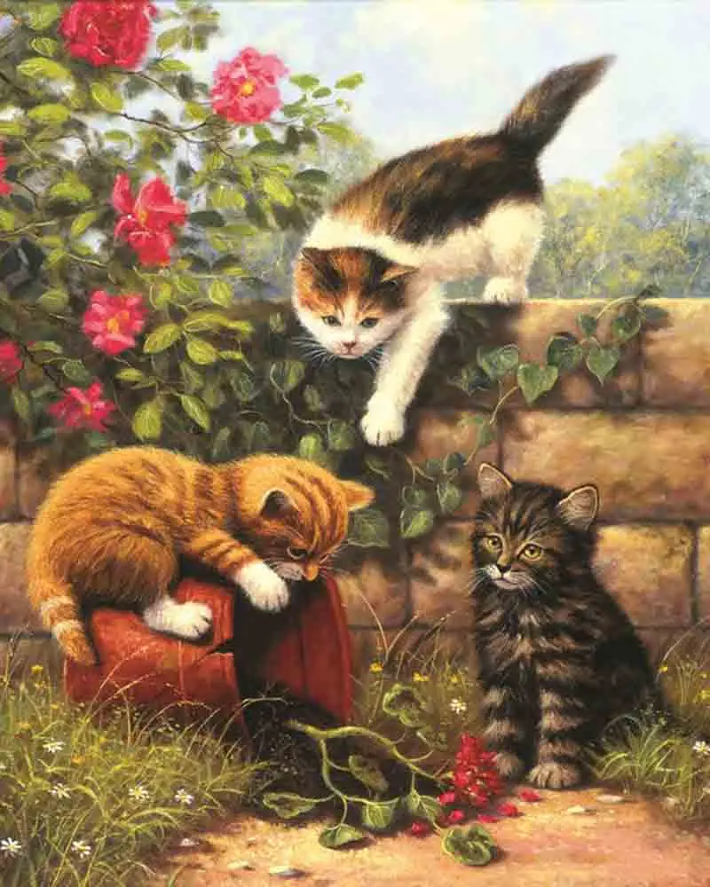 13722thepotterscat1