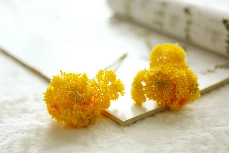 Colorful Plastic Rice seed Rustic Artificial fruit Fake aglaia mini fruit Wedding Decorative Flowers bonsai Home Decor (7)