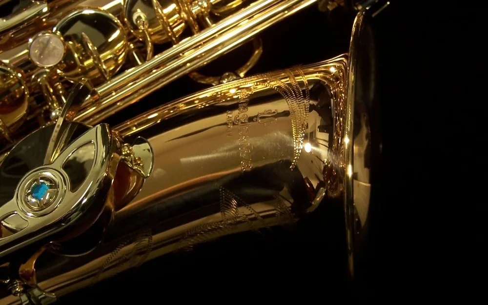 

Yanagisawa A-WO2 Phosphor Bronze Musical Instruments Alto Eb Saxophone High Quality E Flat Gold Lacquer Sax With Case Mouthpiece