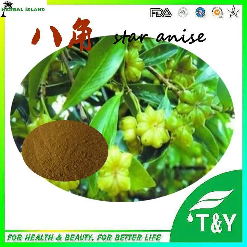 High quality Star Anise extract Shikimic Acid Powder / Star Anise P.E