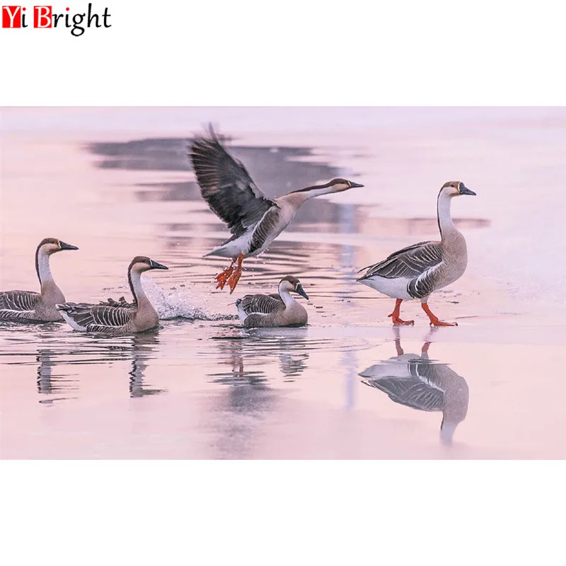 

Full Square&Round Drill 5D DIY Diamond Painting wild goose cross stitch crystal diamond LK1