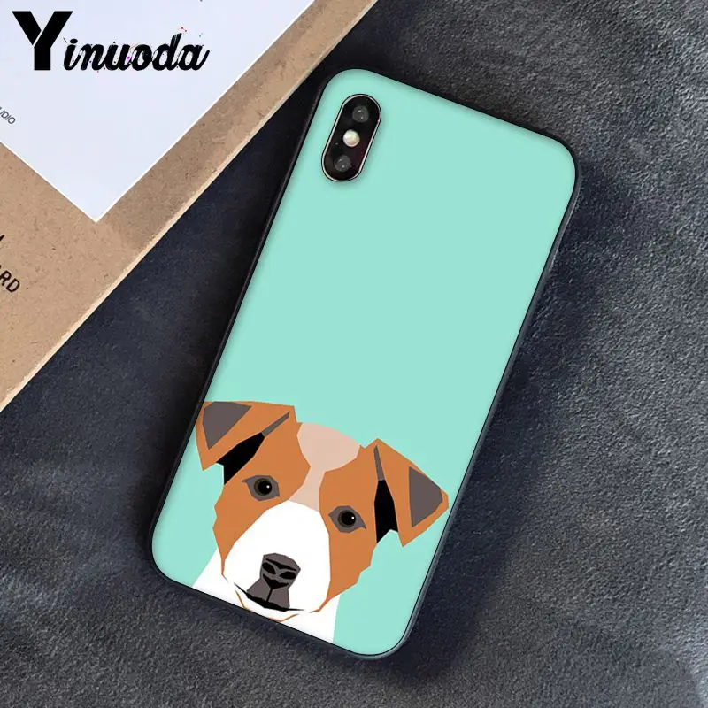 Jack Russell Terrier Dog