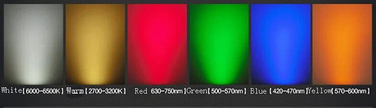 Color