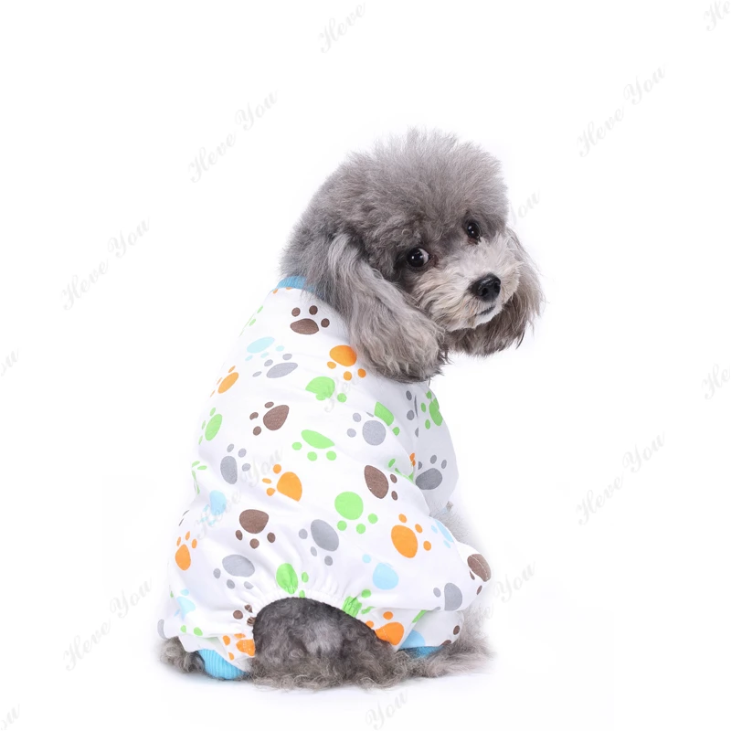 Dog_2098