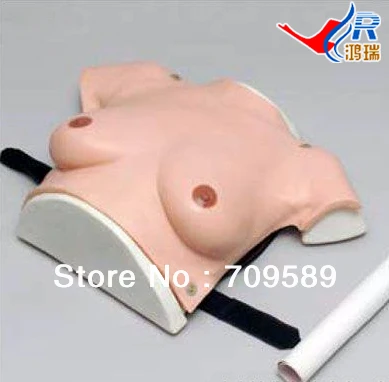 ISO Vivid Breast Self-examination Model, Examination And Diagnostic Breast Trainer ISO Vivid Breast Self-examination Model, Examination And Diagnostic Breast Trainer