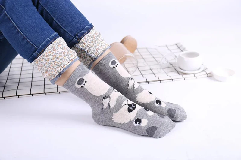 4524904351_297019652