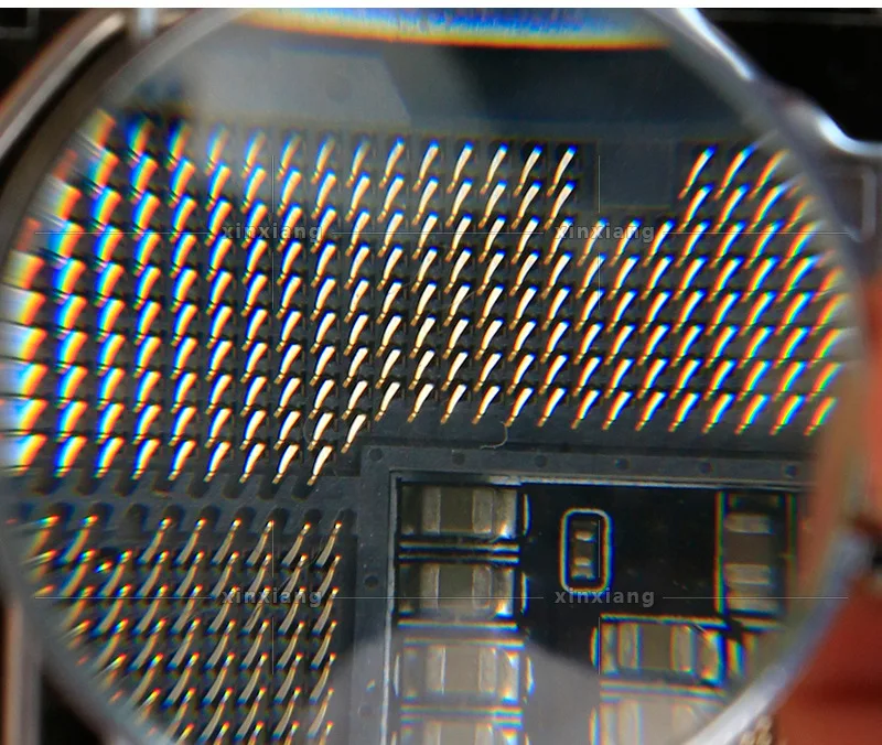 4918291904_1996311318
