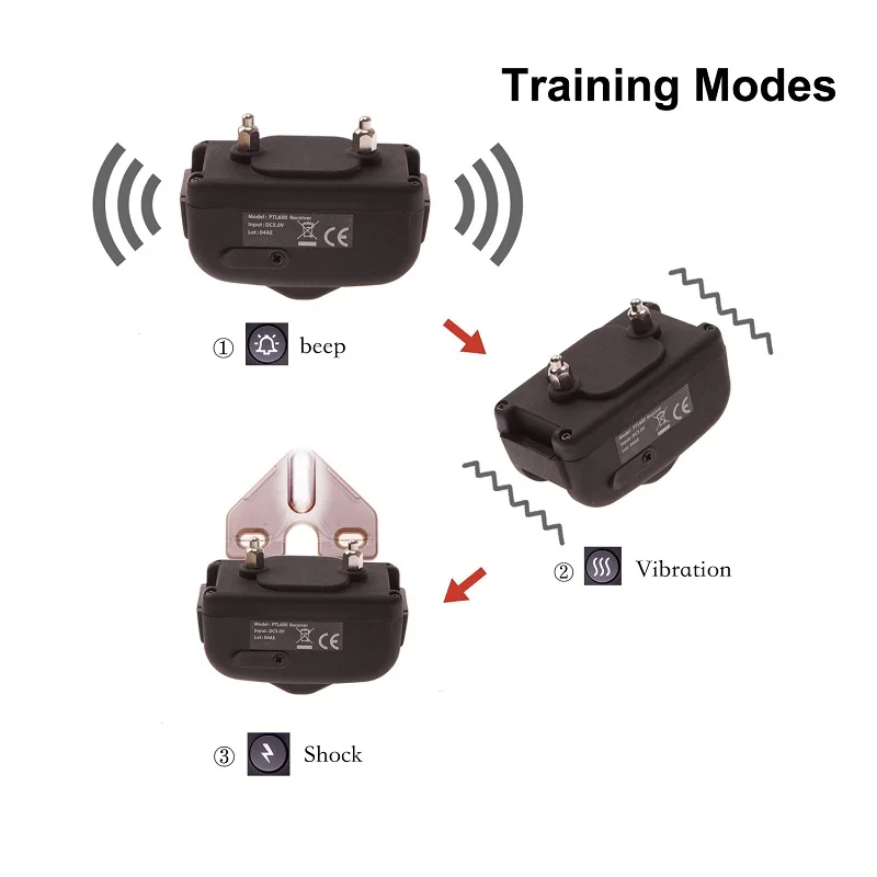 600M dog collar (8)