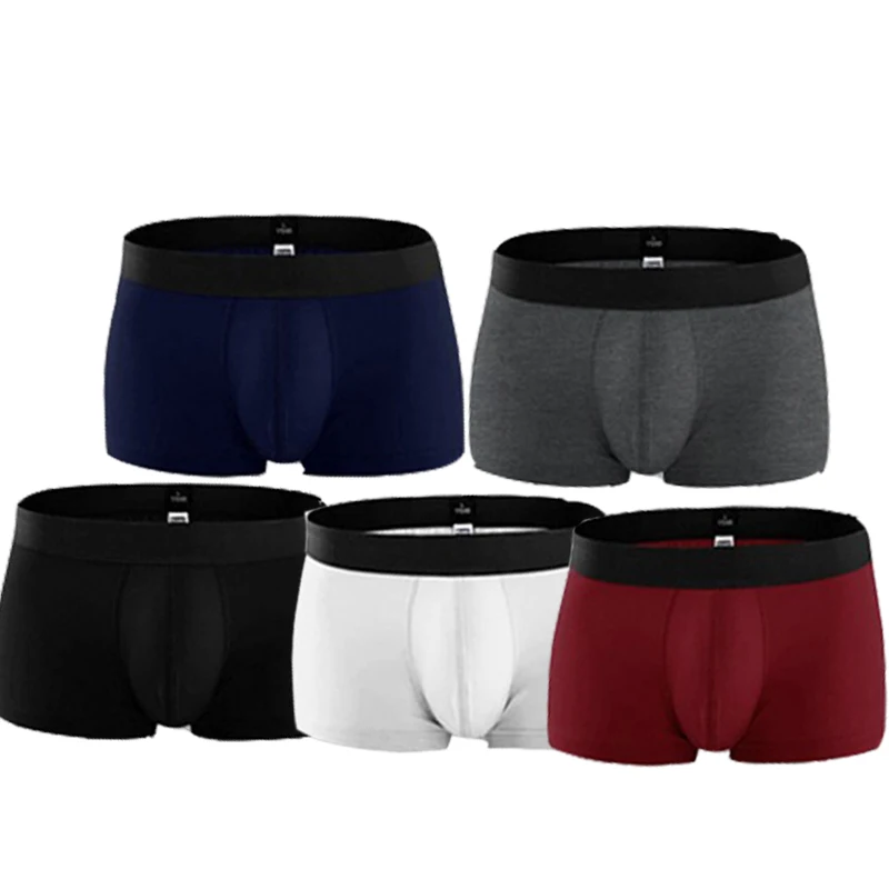 men boxer