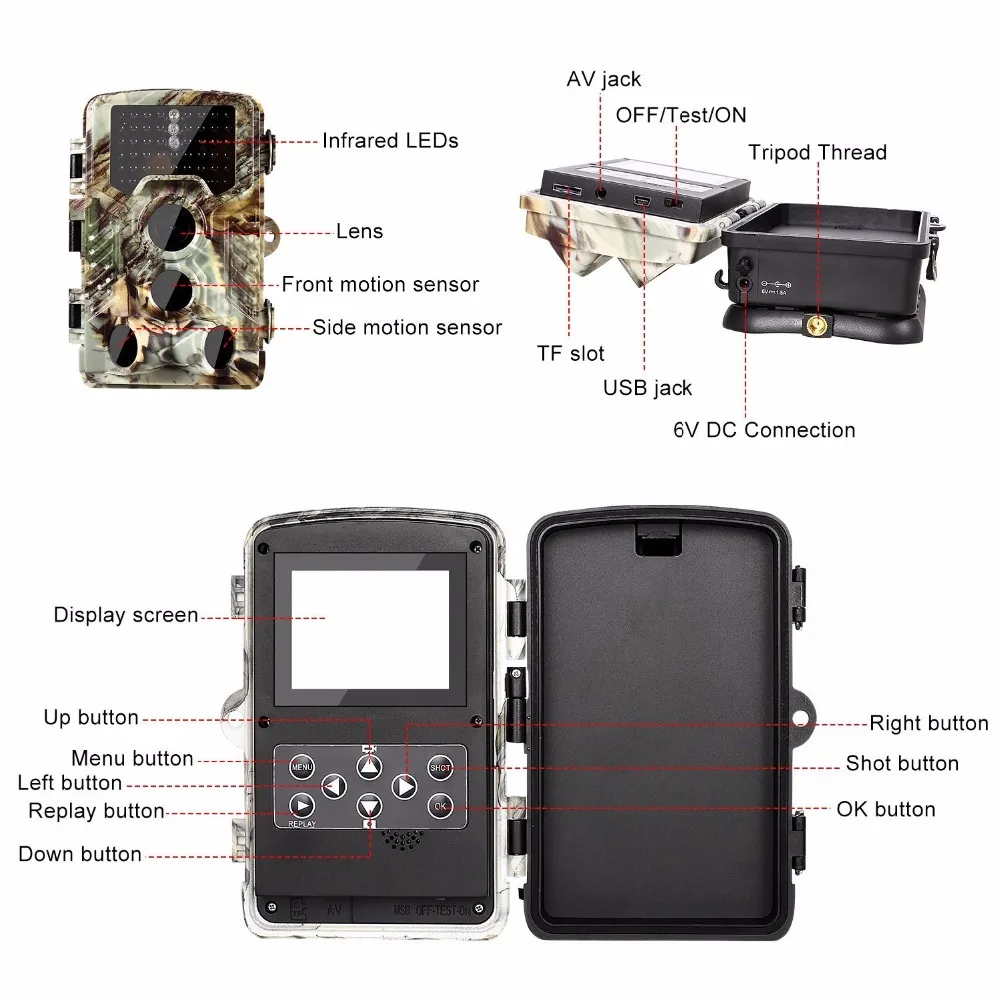 Hunting camera photo traps wildlife (3)