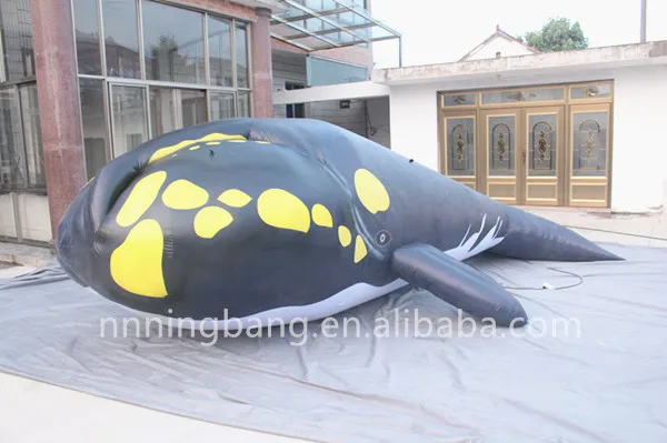 inflatable shark (1)