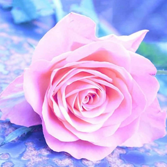 Crafts Diamond Embroidery Diy Full Painting Kit for Square Drill Rhinestone Pasted Romantic rose | Дом и сад