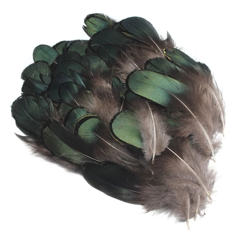 50pcs Green Natural Pheasant Tail Feathers 2.5 x 7cm For Clothing Decorations DIY Crafts