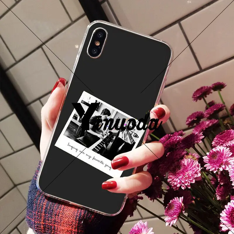 Hit pop singer Shawn Mendes love