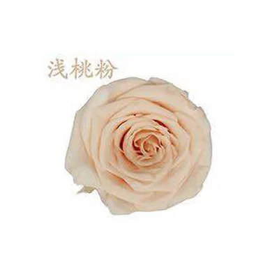 pink peach YO CHO 8 шт. сохраненные вечные розы головы в коробке Высокое качество сухой Натуральный Свежий цветок навсегда Роза год подарок на день Святого Валентина 5 см - Цвет: pink peach