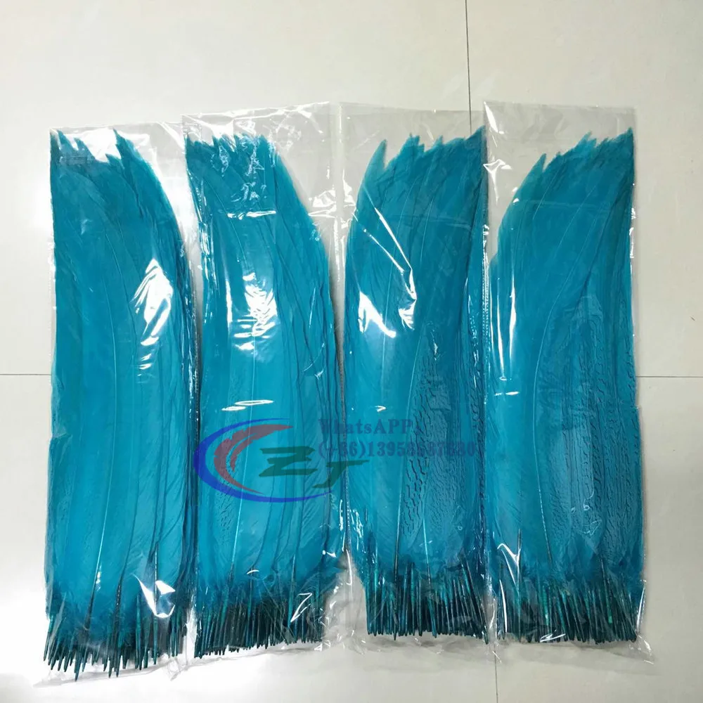 mmexport1492174997867