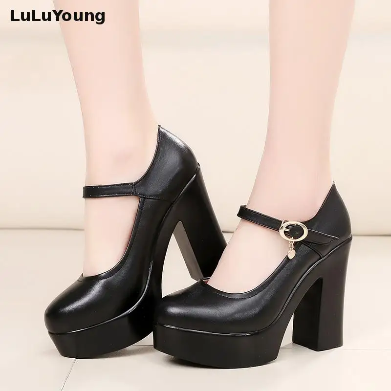 

Genuine Leather High Heel Pumps Platform Shoes Women Office Off White Sy-2805