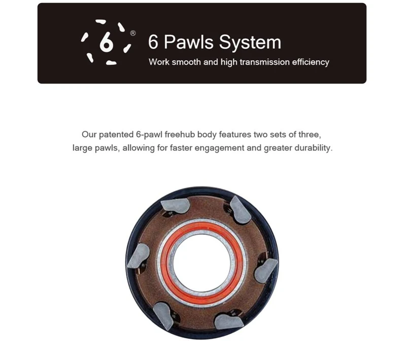 6 pawls