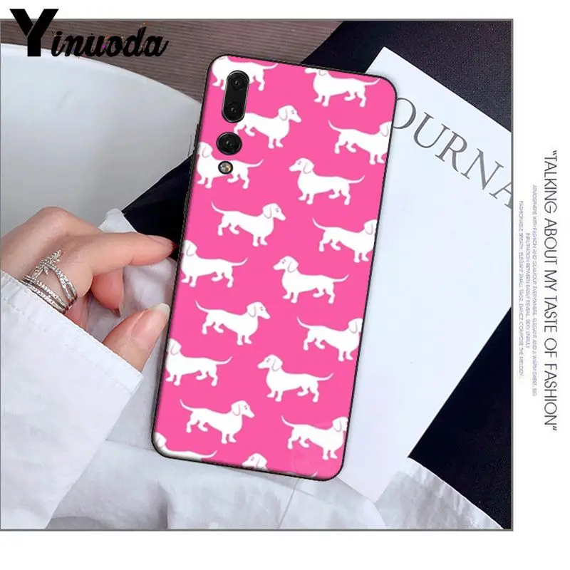 Animals Dogs Dachshund 