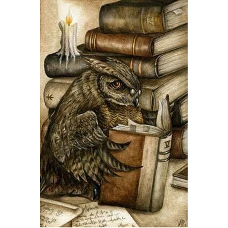 DIY Owl reading 5D diamond embroidery crafts diamond painting cross stitch needlework diamond mosaic full square home decor