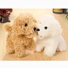 Jouets en peluche de 12 cm, imitation chien caniche, poupée soufflée d'animal, porte-clés, pendentif, jouets en peluche pour cadeau de noël ► Photo 2/6