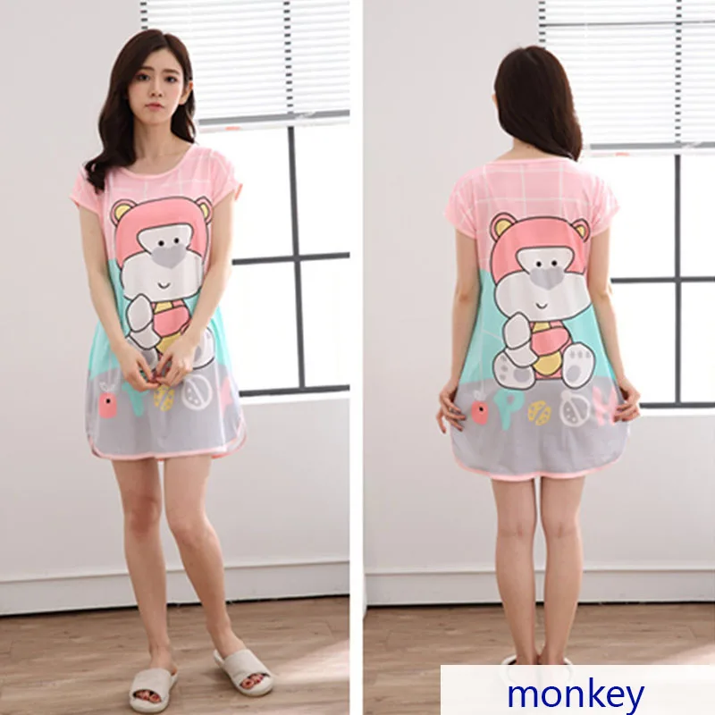 SR005-monkey