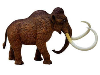 

Puzzle Assembling Toy Simulation Animal Creature Mammoth Organ Anatomy Model Medical Teaching