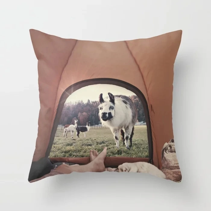 never-stop-exploring-view-from-tent-pillows.webp