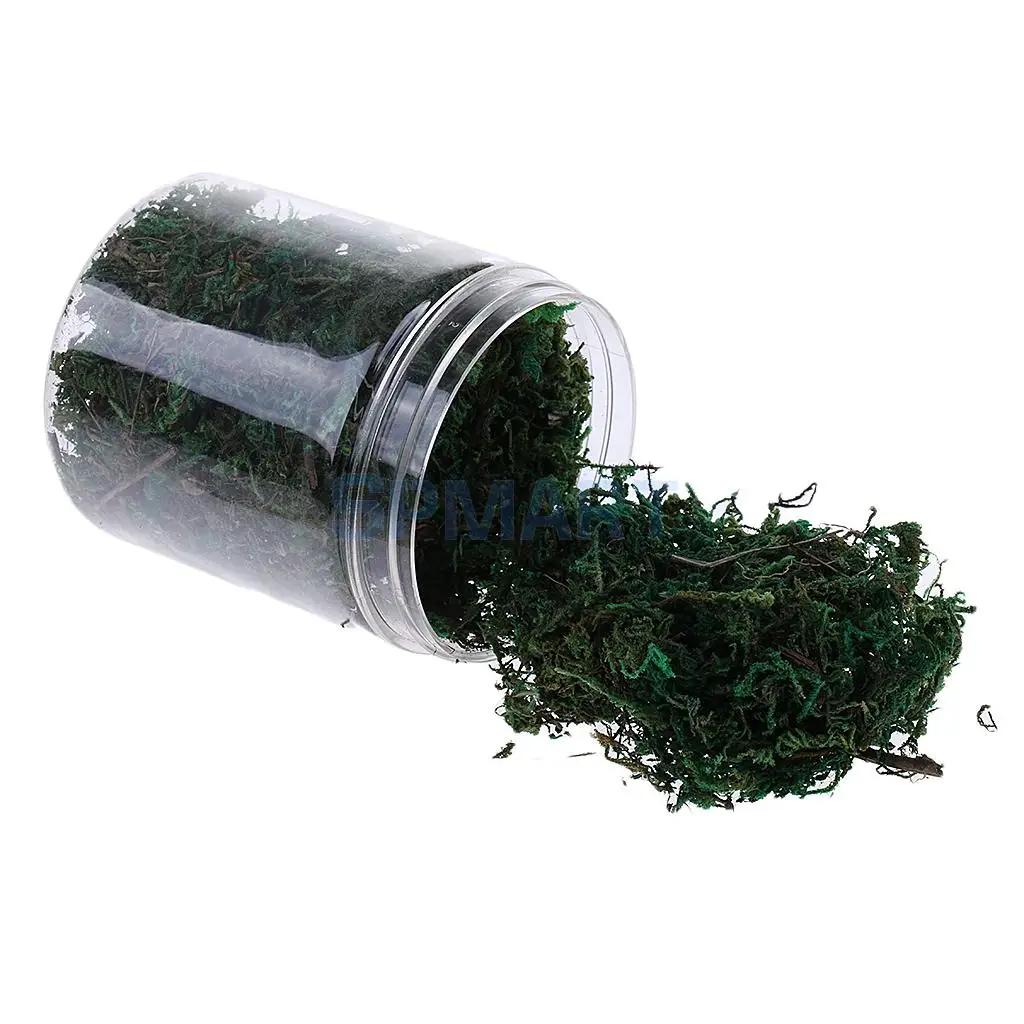 100ML/500ML Dry Grass Model Moss for Layout Terrain Vegetation Diorama Building Toy