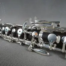 Большой Профессиональный Ebony концерт полуавтомат Ключ C гобой полный консерватории