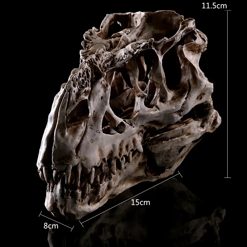

8x15x11.5cm / Interior furnishings personalized decoration Tyrannosaurus rex dinosaur skull specimen resin skull Halloween